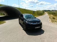 Obraz 3