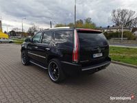 używany Cadillac Escalade 