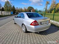 Obraz 3