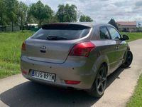 Obraz 3