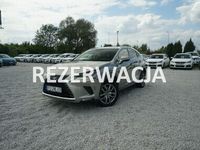 Obraz 1