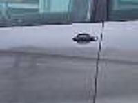 Używany Seat Altea XL 105 KM (77 kW) 2007 Inny kolor Minivan