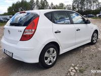 Obraz 3