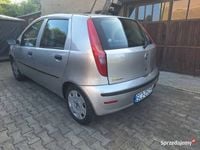 Obraz 3