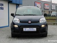 używany Fiat Panda HYBRID 24 Tys.Km Klimatyzacja Tempomat Komputer …