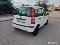Obraz 2
