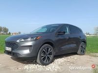 Używany Ford Escape 2022 SUV