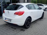 Obraz 3