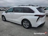 Obraz 1