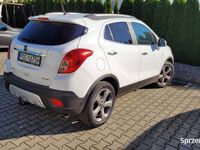 Obraz 1