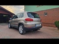 Obraz 3