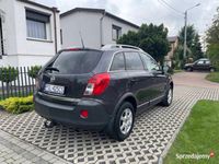 Obraz 3