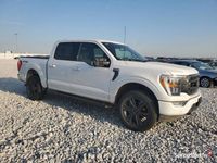 Używany Ford F-150 2023 Pickup