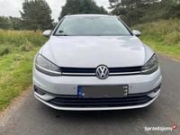 Używany VW Golf VII 2017 Kombi