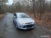 używany Ford Focus 