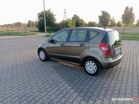 Obraz 3