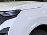 Obraz 3