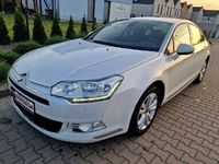 Obraz 1