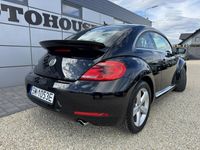 Obraz 3