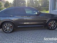 Obraz 3