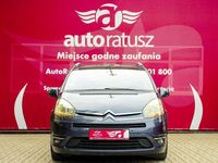 Obraz 3