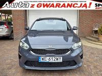 Używany Kia Ceed 140 KM (102 kW) 2019 Szary (metalik) Hatchback