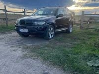 Obraz 3