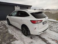 Używany Ford Kuga ST-Line 2021 Biały SUV