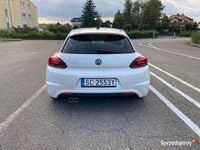 Obraz 3