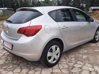 Obraz 3
