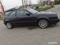 Obraz 3
