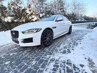 Używany Jaguar XE 2017 Biały Sedan/Limuzyna