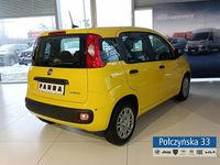 używany Fiat Panda 1dm 70KM 2025r. 6km