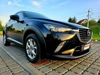 Obraz 3