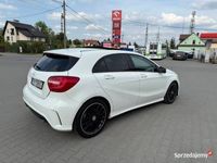 Obraz 3