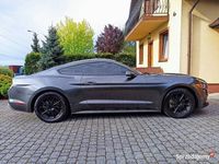 używany Ford Mustang 3,7 niski przebieg