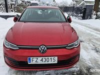 używany VW Golf VIII 