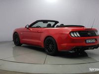 używany Ford Mustang CONVERTIBLE, 5.0 V8 ! Z polskiego salonu! Fakt…