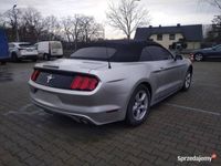 używany Ford Mustang Mustang Cabrio 3,7 v6 304 KMCabrio 3,7 v6 304 KM