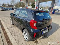 używany Kia Picanto 05.2023 Salon PL III (2017-)