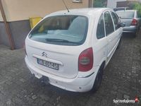 Obraz 3