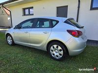 Obraz 3