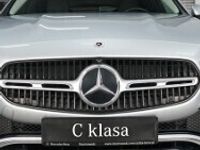 Obraz 2