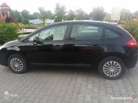 Obraz 3