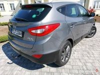 Obraz 3