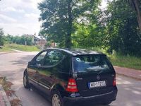 Obraz 3