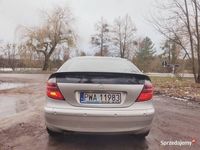 Obraz 3