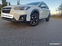 Obraz 2