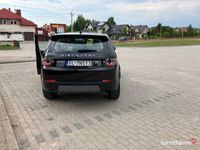 Obraz 3