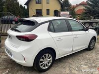 Obraz 3